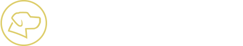 Orlando Marketing Agency | YellowDog Marketing & Design