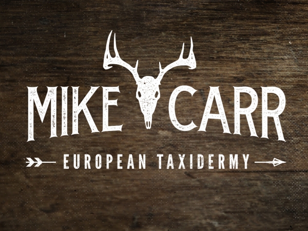 Mike Carr - European Taxidermy